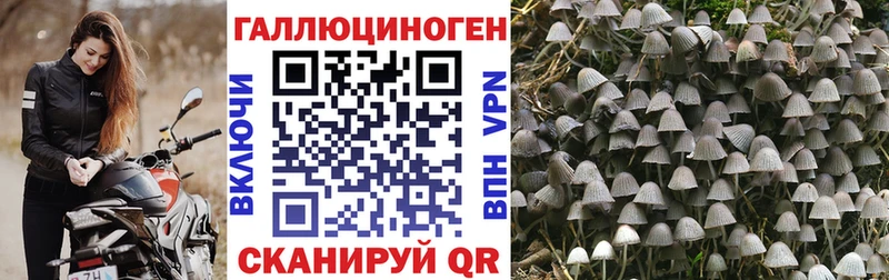 купить  цена  площадка как зайти  Галлюциногенные грибы мухоморы  Россошь  мега ONION 