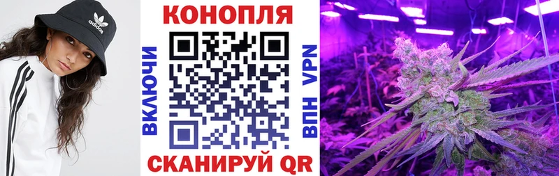 где купить   Россошь  Каннабис SATIVA & INDICA 